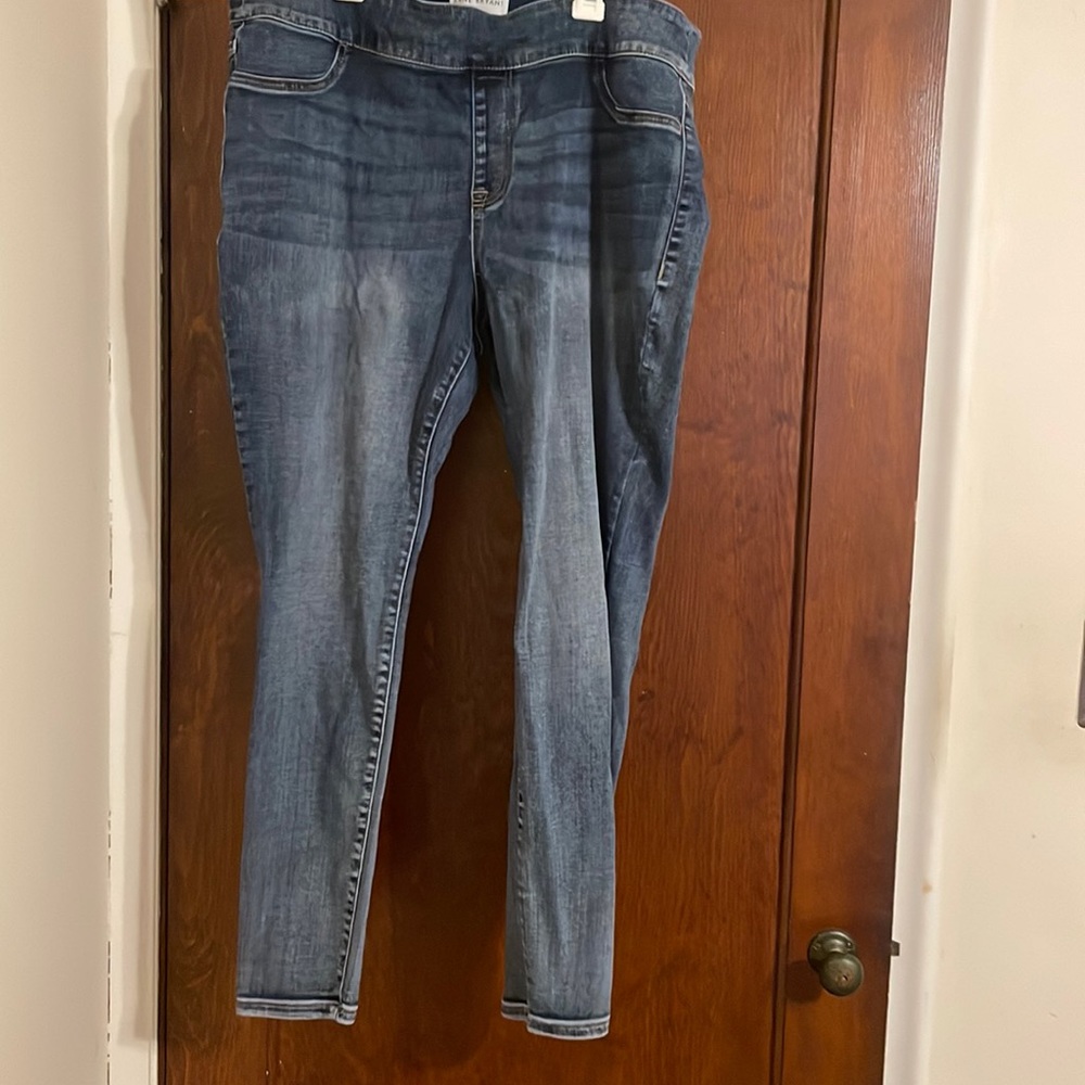 Lane Bryant Jeggins